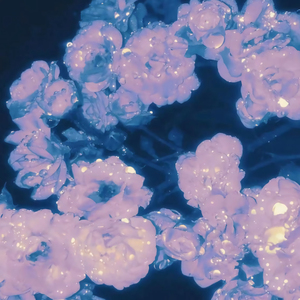 国产成人无码内射
